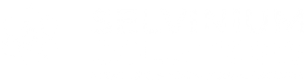 Selvinium Solutions — Strategic. Foundational. Growth.